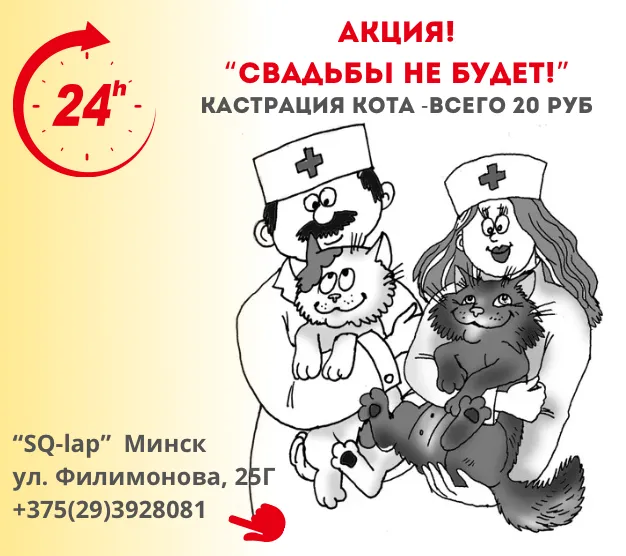 Акция - Свадьбы не будет! Кастрация котов