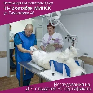 Исследование на дисплазию тазобедренного (HD) и локтевых суставов (ED), а также исследование коленного сустава (Patella Luxation)