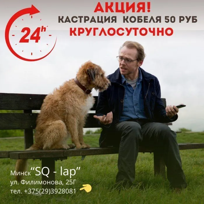 Акция - Свадьбы не будет! Кастрация собак