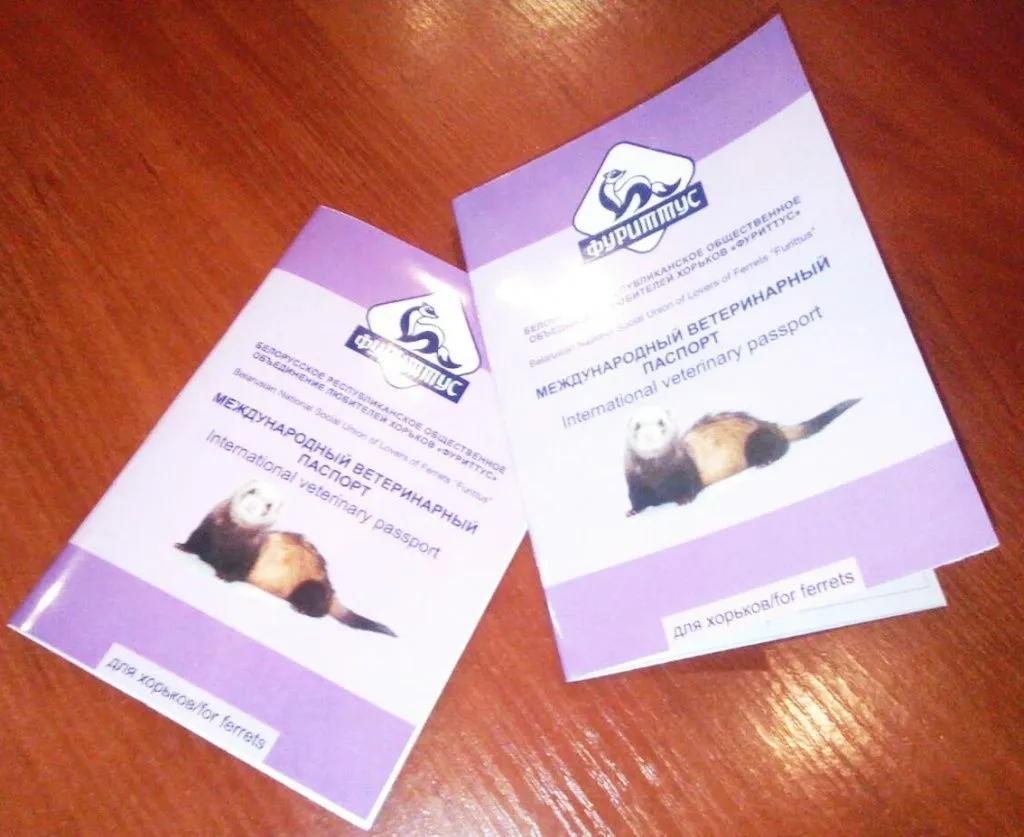viber image2.jpg