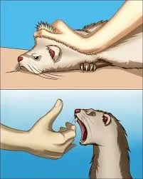 images.jpg