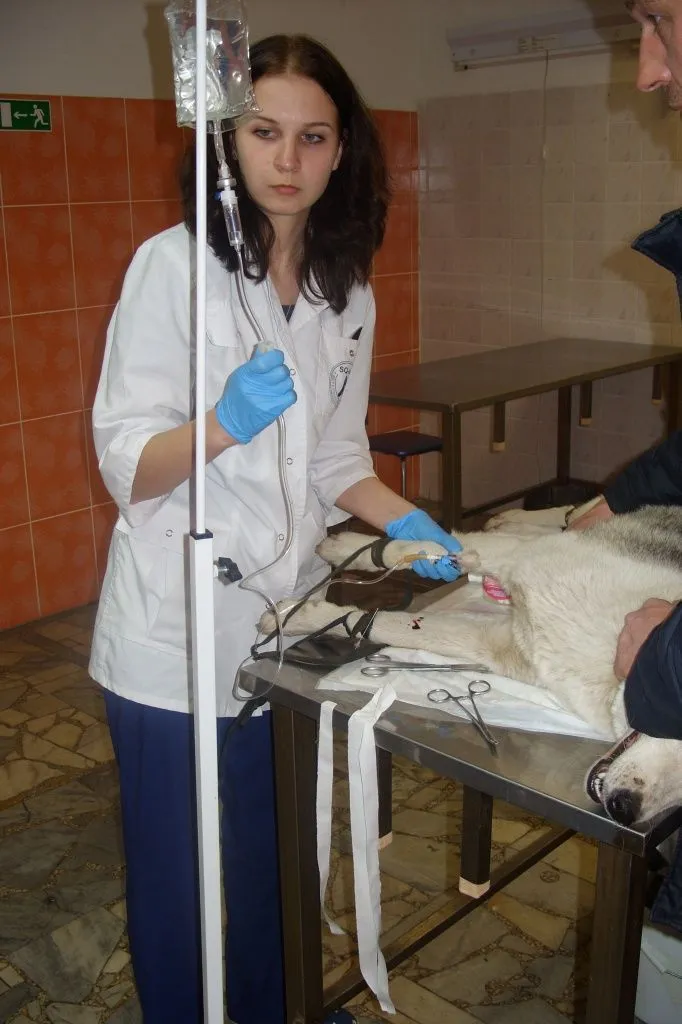 SS856524.JPG