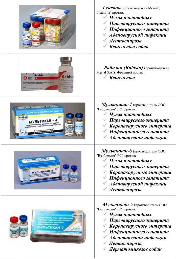 Ветклиника в Минске предлагает вакцины Гексадог Рабизин Мультикан-4 Мультикан-6 Мультикан-7 для собак