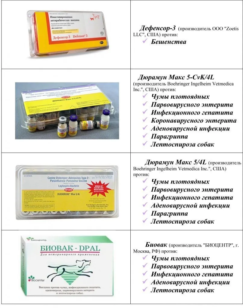 Ветклиника Минск вакцины дефенсор-3 дюрумун макс 5-cvk 4l дюрамун макс 5 4l биовак dpal собак