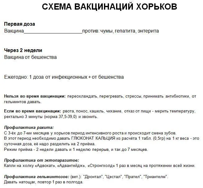 Схема вакцинации хорьков.jpg