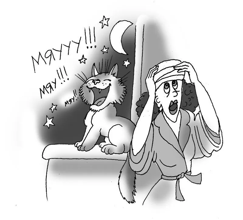 Кастрированный кот