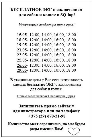 ЭКГ для домашних животных