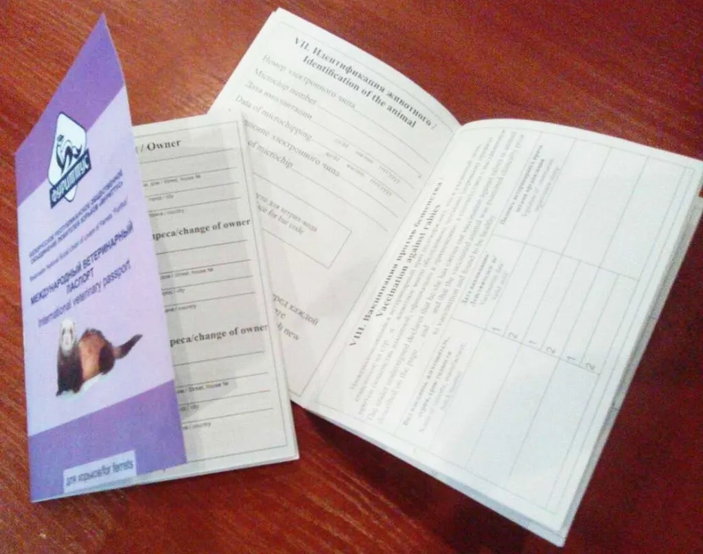 viber image3.jpg