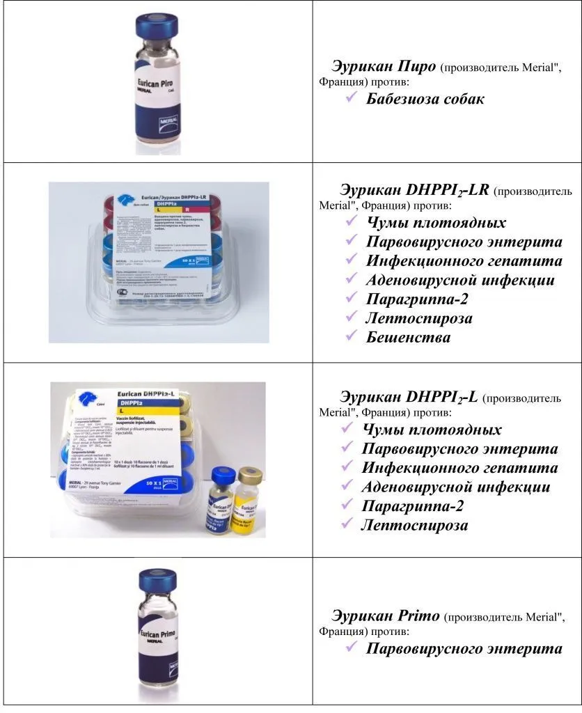 Комплексная вакцинация собак препаратом Эурикан для защиты от чумы гепатита и парвовируса в Минске