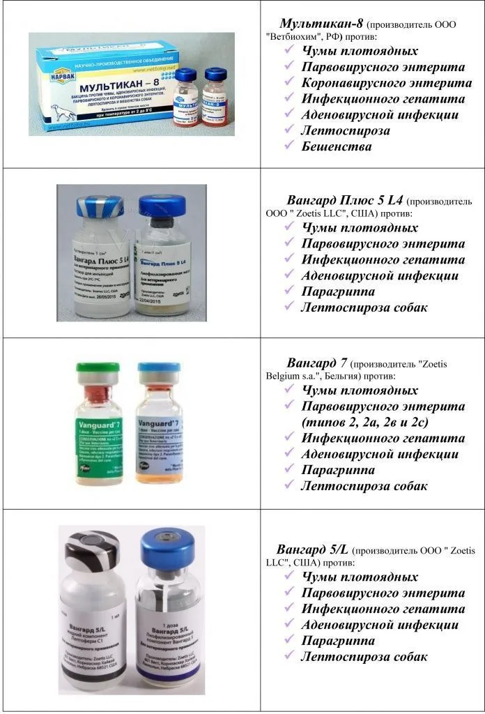 Ветклиника Минск вакцины Мультикан-8 Вангард Плюс 5 L4 Вангард 7 Вангард 5/L для собак
