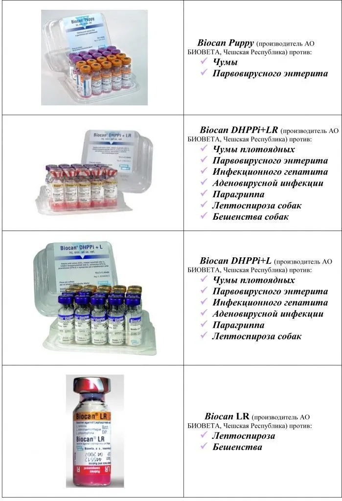 Ветклиника минск вакцины biocan puppy dhppi lr dhppi l lr биовета для собак