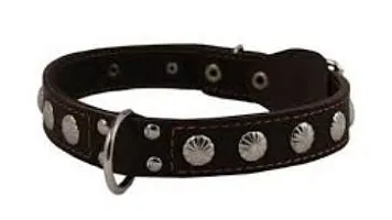 Ошейник кожаный двойной с украшением 