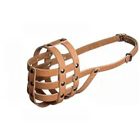 Намордник кожаный №1 (миттельшнауцер)