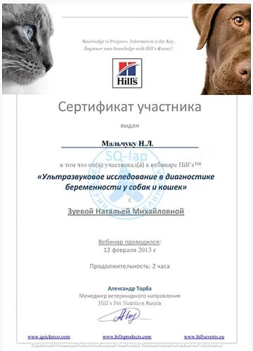  Мальчук Н.Л. - Диагностика беременности у собак и кошек