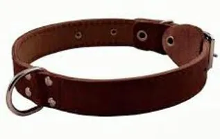 Ошейник кожаный двойной с кольцом посередине 