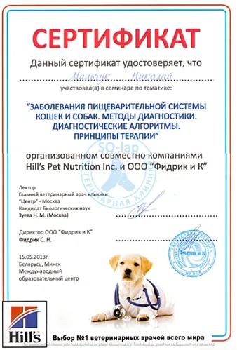 Мальчук Н.Л. - Заболевания пищеварительной системы кошек и собак